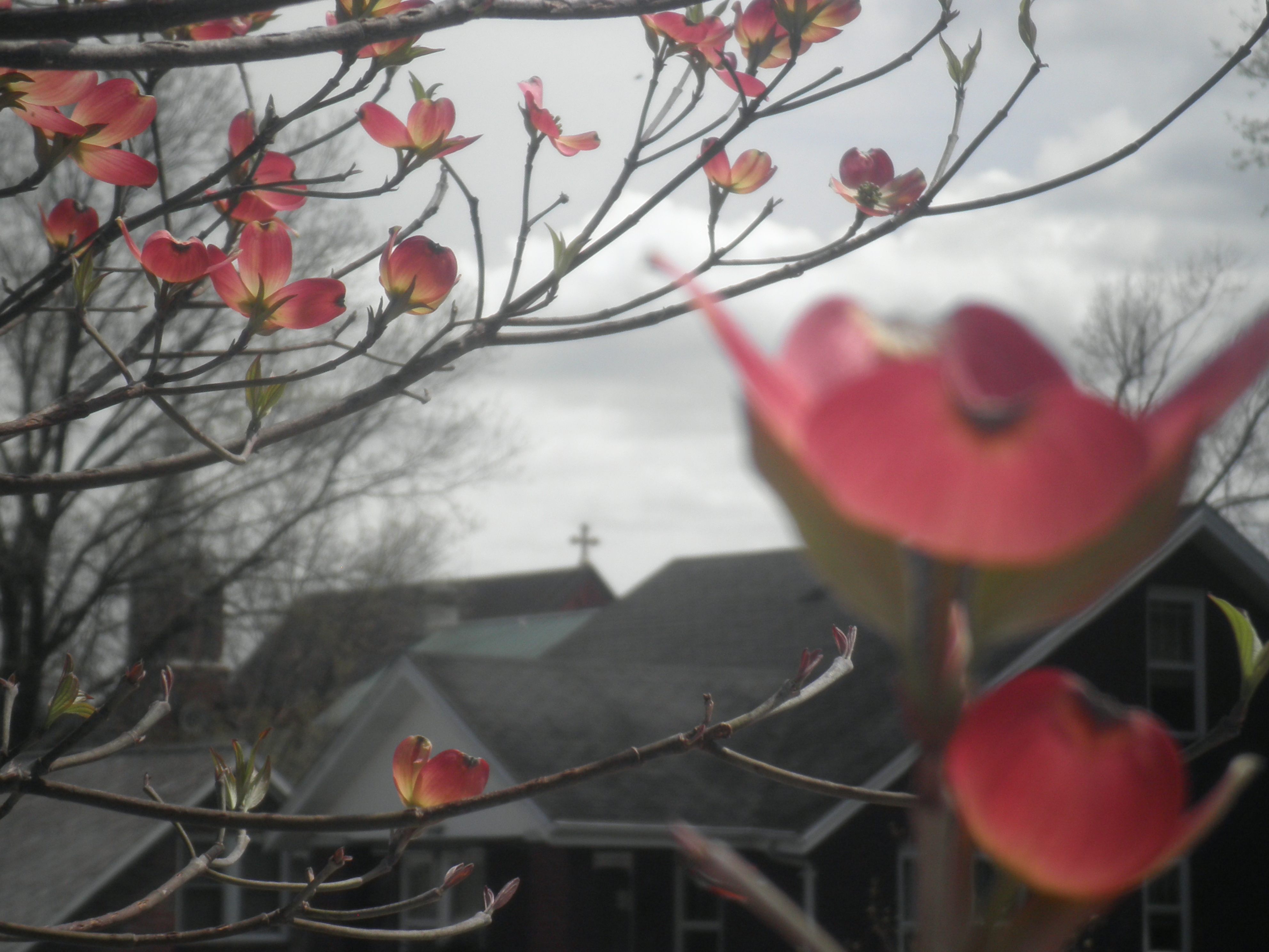 On the Edge of Spring