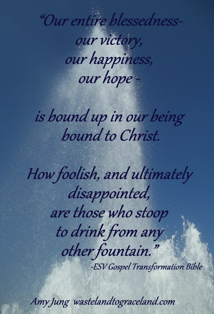 Our Entire Blessedness