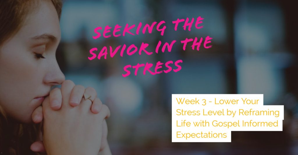 Seeking the Savior in the Stress - Week 3 - Lower Your Stress Level by Re-framing Life with Gospel Informed Expectations