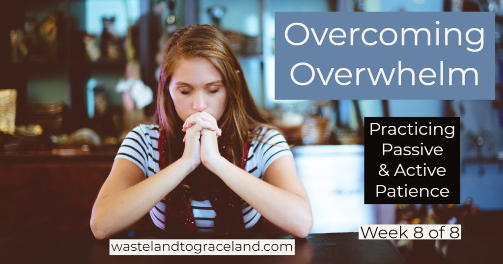 Overcoming Overwhelm: Practicing Passive & Active Patience, Week 8 of 8